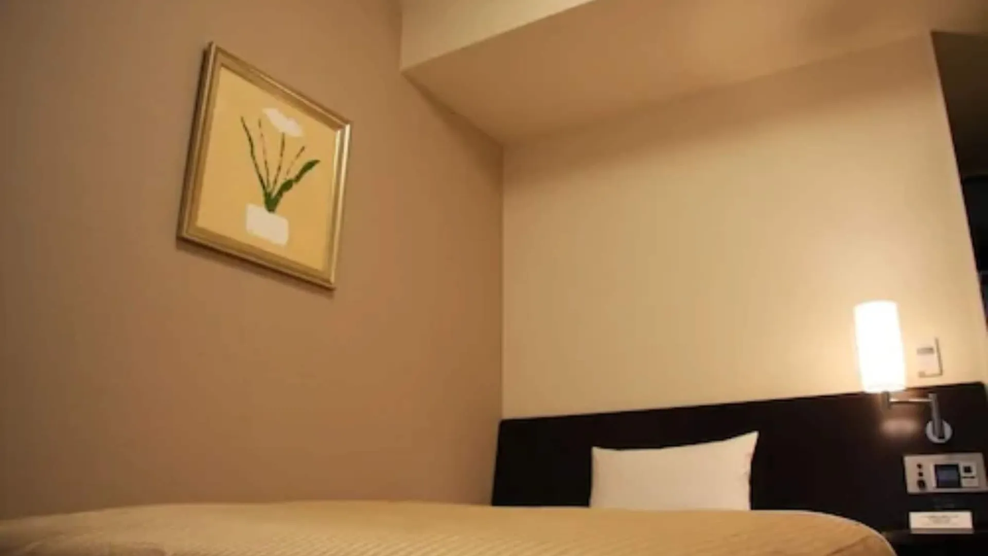 Hotel Route-Inn Sapporo Chuo 3*,  Japan